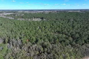 Tbd Nc Hwy 130 Hwy, Fairmont, NC 28340 - Photo 4