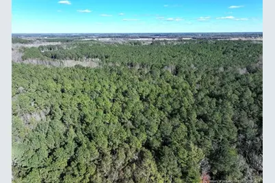 Tbd Nc Hwy 130 Highway, Fairmont, NC 28340 - Photo 2