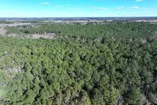 Tbd Nc Hwy 130 Hwy, Fairmont, NC 28340 - Photo 2