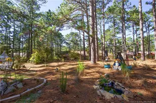 642 Redwood Dr, Southern Pines, NC 28387 - Photo 44