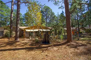 642 Redwood Dr, Southern Pines, NC 28387 - Photo 48