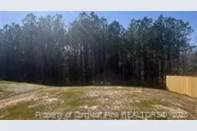 228 Fire Lane, Vass, NC 28394 - Photo 26