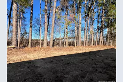 129 Traveller Way, Raeford, NC 28376 - Photo 8