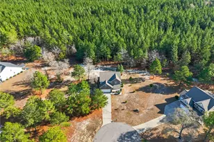 15 Preserve Ct, Jackson Springs, NC 27281 - Photo 50