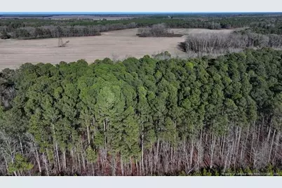 Tbd S Old Wire Road, Red Springs, NC 28377 - Photo 4