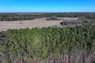 Tbd S Old Wire Rd, Red Springs, NC 28377 - Photo 4