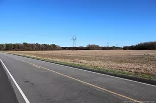 Tbd S Old Wire Rd, Red Springs, NC 28377 - Photo 36