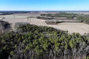 Tbd S Old Wire Rd, Red Springs, NC 28377 - Photo 8