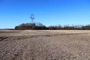 Tbd S Old Wire Rd, Red Springs, NC 28377 - Photo 20