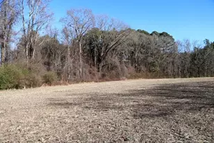 Tbd S Old Wire Rd, Red Springs, NC 28377 - Photo 24