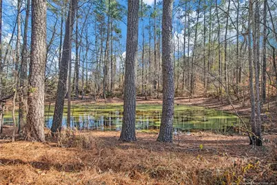 5049 Matt Hair Road, Fayetteville, NC 28312 - Photo 34