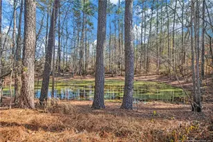 5049 Matt Hair Rd, Fayetteville, NC 28312 - Photo 34