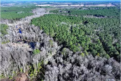 Tbd Stuarts Mill Road, Fairmont, NC 28340 - Photo 1