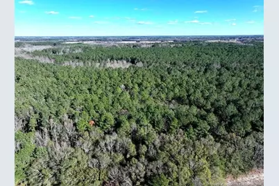 Tbd Stuarts Mill Road, Fairmont, NC 28340 - Photo 4