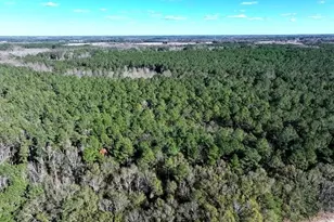 Tbd Stuarts Mill Rd, Fairmont, NC 28340 - Photo 4