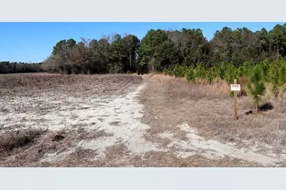 Tbd Stuarts Mill Road, Fairmont, NC 28340 - Photo 10