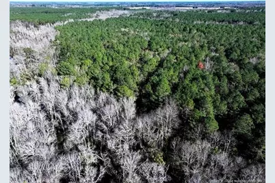 Tbd Stuarts Mill Road, Fairmont, NC 28340 - Photo 2