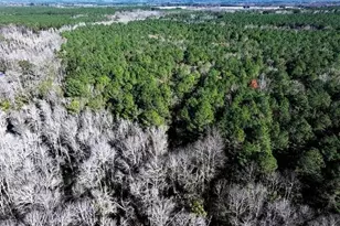 Tbd Stuarts Mill Rd, Fairmont, NC 28340 - Photo 2