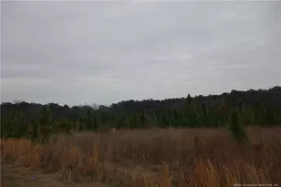 Lot 49 Stuarts Mill Rd, Fairmont, NC 28340 - Photo 1