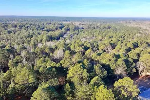 196 Autumn Dr, Vass, NC 28394 - Photo 36