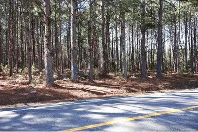 Nc Hwy 130 Highway, Fairmont, NC 28340 - Photo 2