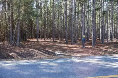 Nc Hwy 130 Highway, Fairmont, NC 28340 - Photo 4