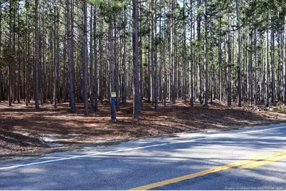 Nc Hwy 130 Highway, Fairmont, NC 28340 - Photo 2