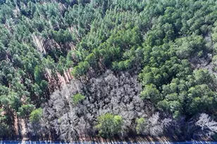 Nc Hwy 130 Hwy, Fairmont, NC 28340 - Photo 1