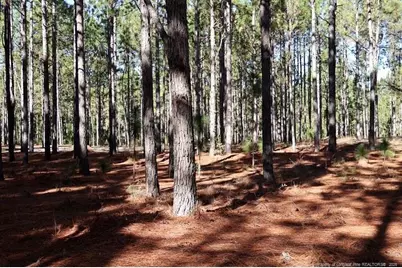 Nc Hwy 130 Highway, Fairmont, NC 28340 - Photo 2