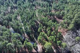 Nc Hwy 130 Hwy, Fairmont, NC 28340 - Photo 1