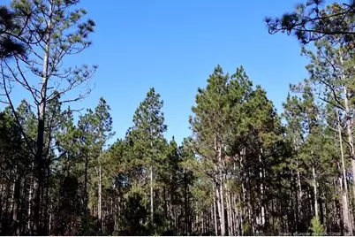 Nc Hwy 130 Highway, Fairmont, NC 28340 - Photo 6