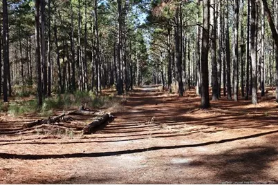 Nc Hwy 130 Highway, Fairmont, NC 28340 - Photo 2