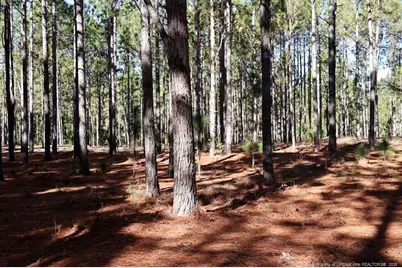 Nc Hwy 130 Highway, Fairmont, NC 28340 - Photo 6