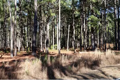 Stuarts Mill Road, Fairmont, NC 28340 - Photo 14