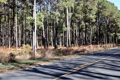 Stuarts Mill Road, Fairmont, NC 28340 - Photo 4