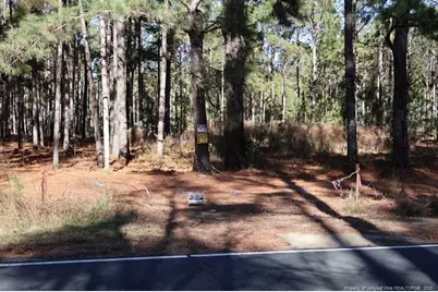 Stuarts Mill Road, Fairmont, NC 28340 - Photo 10