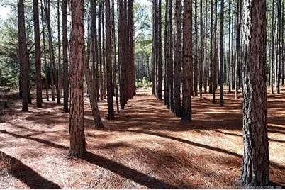 Stuarts Mill Road, Fairmont, NC 28340 - Photo 2