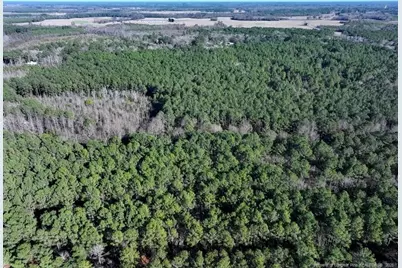 Tbd Nc Hwy 130 Highway, Fairmont, NC 28340 - Photo 1