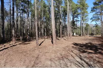 Tbd Nc Hwy 130 Highway, Fairmont, NC 28340 - Photo 2