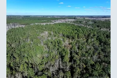 Tbd Nc Hwy 130 Highway, Fairmont, NC 28340 - Photo 8