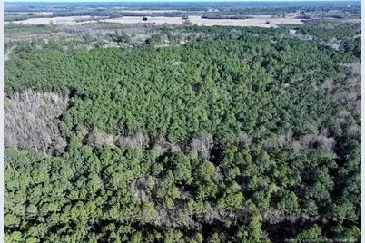 Tbd Nc Hwy 130 Highway, Fairmont, NC 28340 - Photo 4