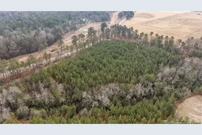 1300 McLauchlin Road, Vass, NC 28394 - Photo 10