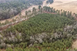 1300 McLauchlin Rd, Vass, NC 28394 - Photo 10