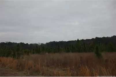 Lot 44 Stuarts Mill Road, Fairmont, NC 28340 - Photo 1