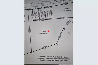 Lot 46 Stuarts Mill Road, Fairmont, NC 28340 - Photo 1