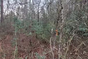 0 Melie Lee Rd, Fayetteville, NC 28312 - Photo 1