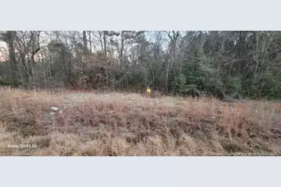 0 Melie Lee Road, Fayetteville, NC 28312 - Photo 10