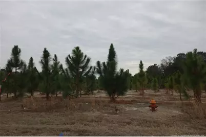 Lot 42 Stuarts Mill Road, Fairmont, NC 28340 - Photo 1