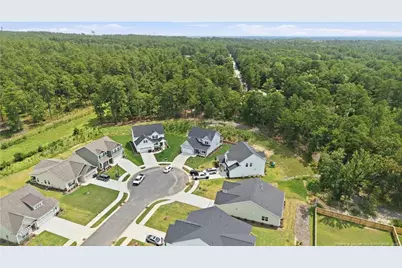 298 Rough Ridge Trail, Aberdeen, NC 28315 - Photo 10
