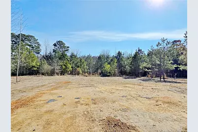 32 Black Duck (Lot 119) Lane, Lillington, NC 27546 - Photo 34